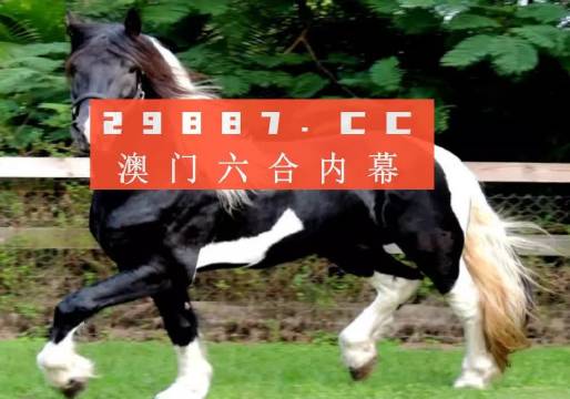 澳门与香港一肖一码一待一中|精选解释解析落实