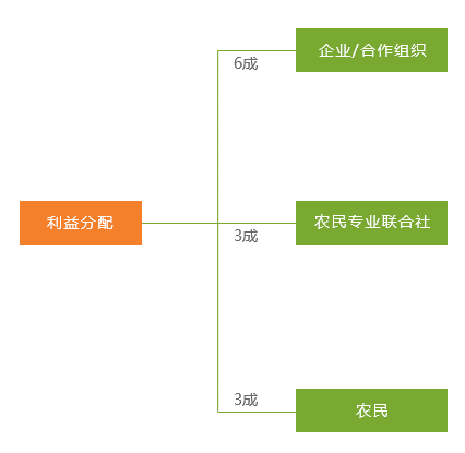 管家婆期期精选免费资料,现状分析解释落实