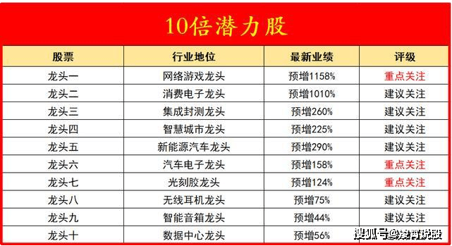 2004新澳门精准全年免费资料,精选解释解析落实