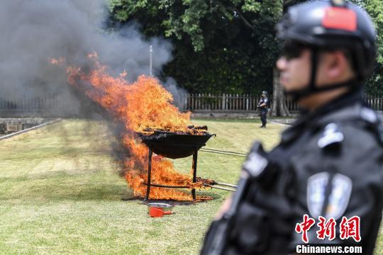 广东省人社厅网，构建服务型政府，推动人力资源社会保障事业新发展