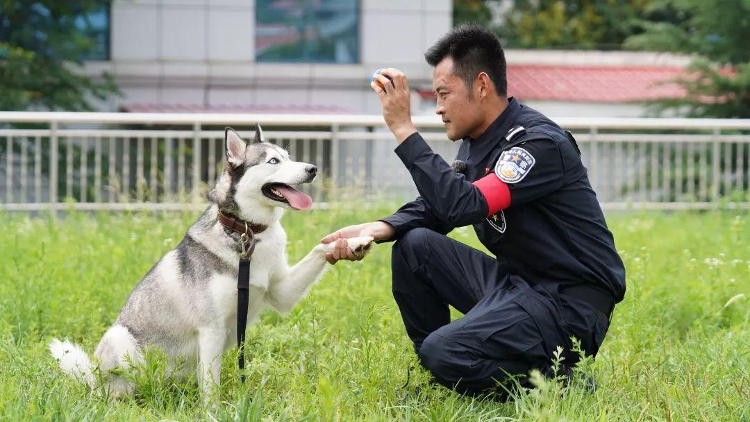 宝宝几个月开始训练坐，适宜时间与方法探讨