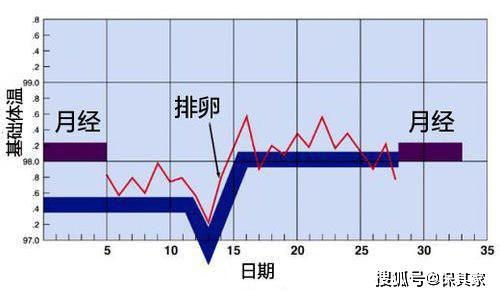 女性一个月体温变化图，揭示生理周期中的微妙变化