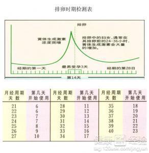 关于怀孕周期与预计生产时间的解析，从第28周开始算起